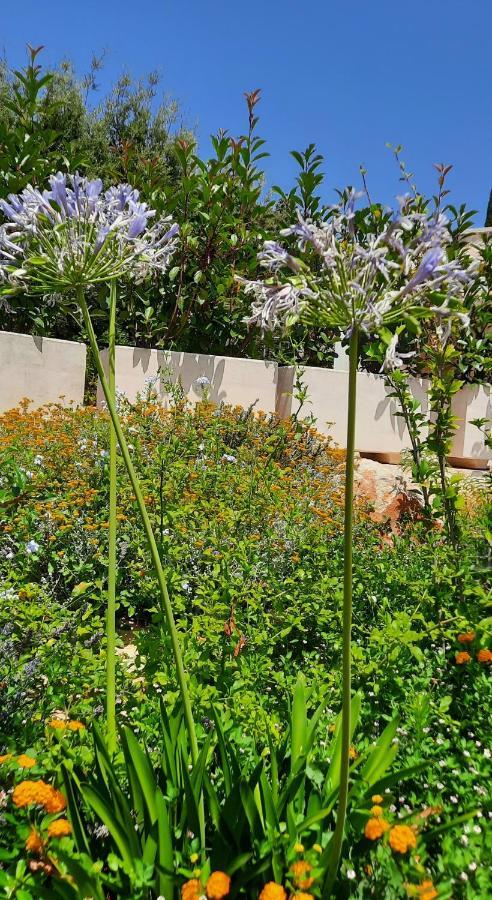 Aparthotel Trulli Giaci&Mauri Selva Di Fasano Zewnętrze zdjęcie